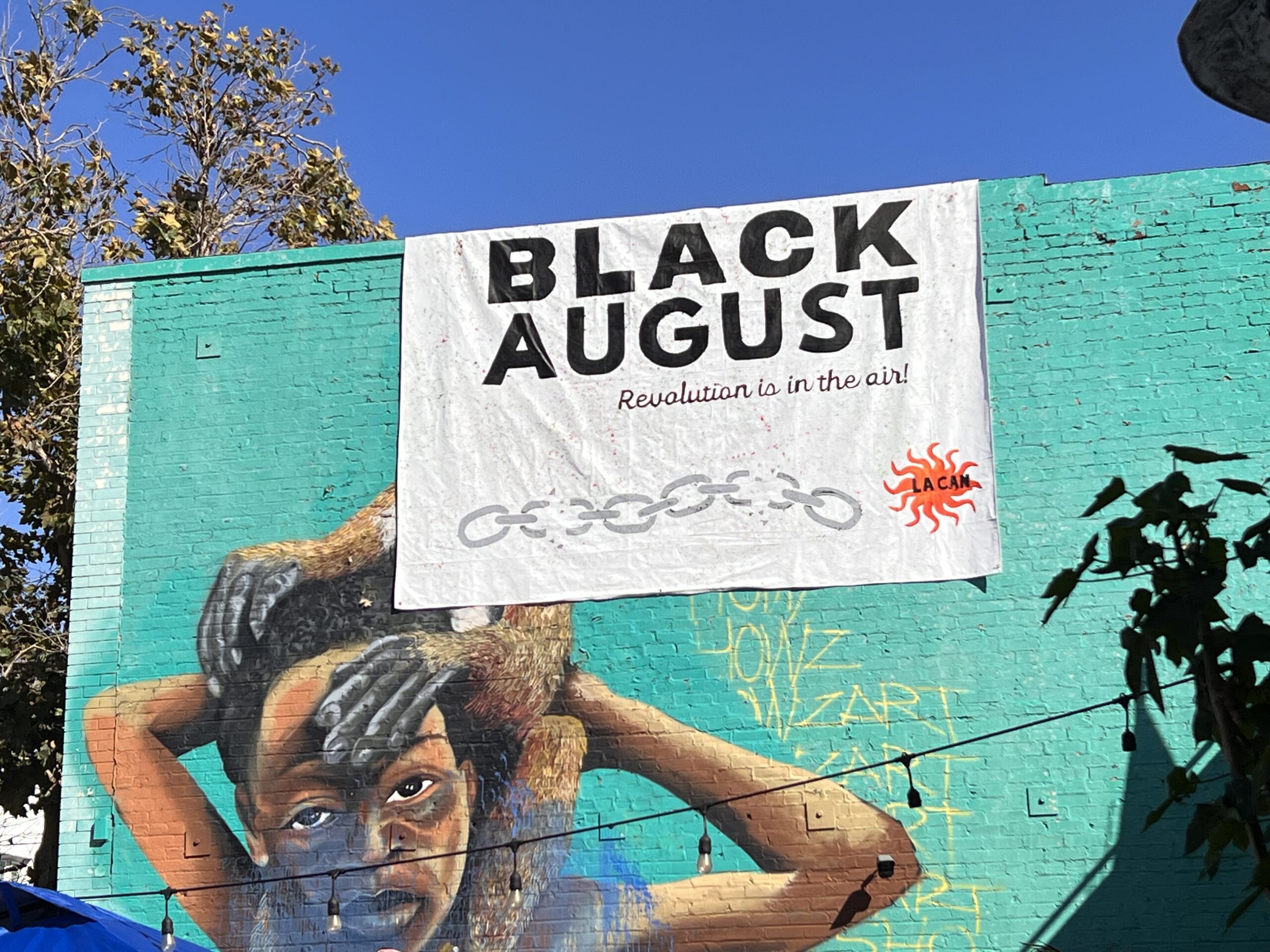 WEEKLY UPDATE – August 9, 2024